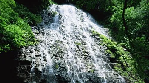 数字化高效精密